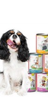Dog Wet pet food Dog Trial Package (Hunde-Schnupperpaket) 200g 1 Set with various varieties, flakes and trial packages Anifit
