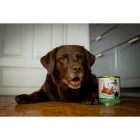 Dog Wet pet food Thanksgiving Day 200g 6 Piece -6- Anifit