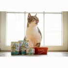Cat Wet pet food Nautilus Ragout 200g 6 Piece -3- Anifit