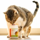 Cat Dog B.A.R.F. Snacks Supplements Chicken soup 80g 1 Piece -2- Anifit